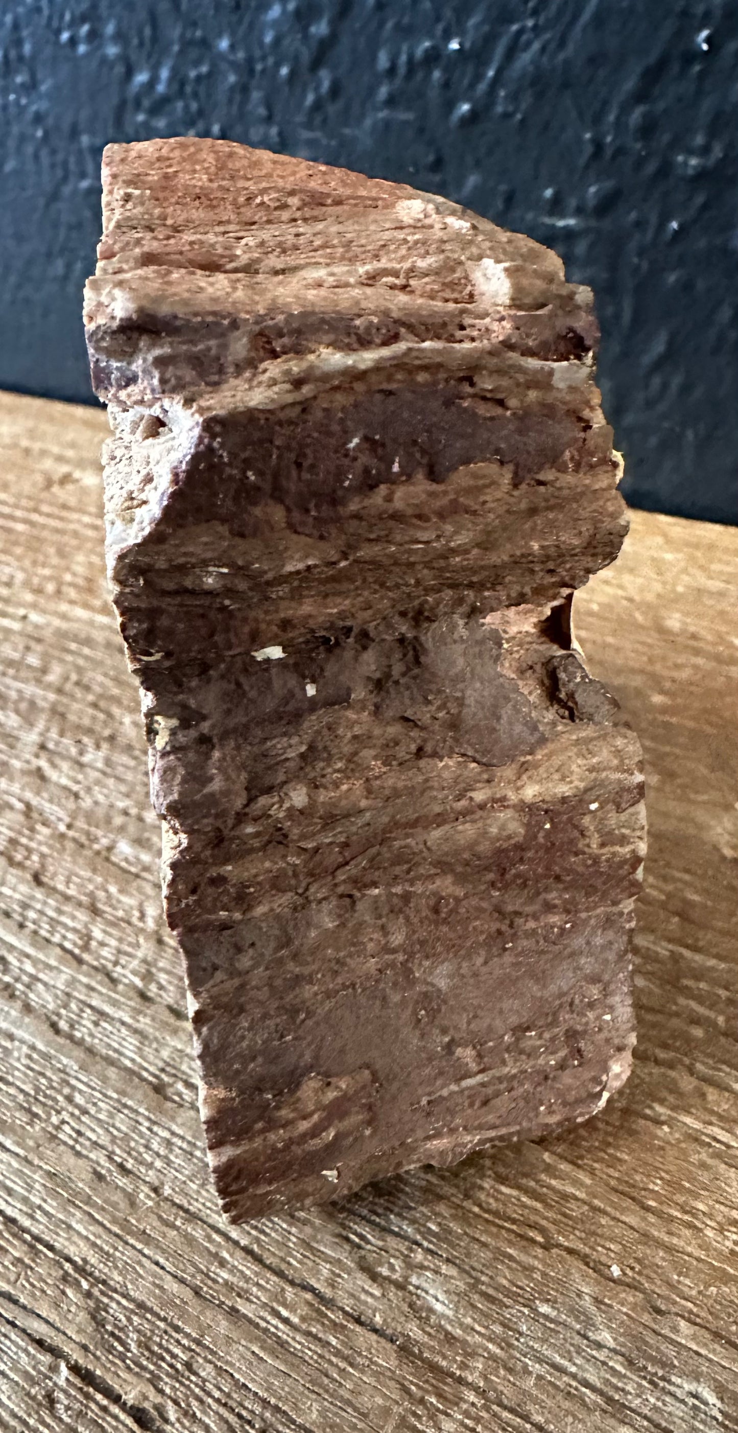 Petrified Rock From Arizona