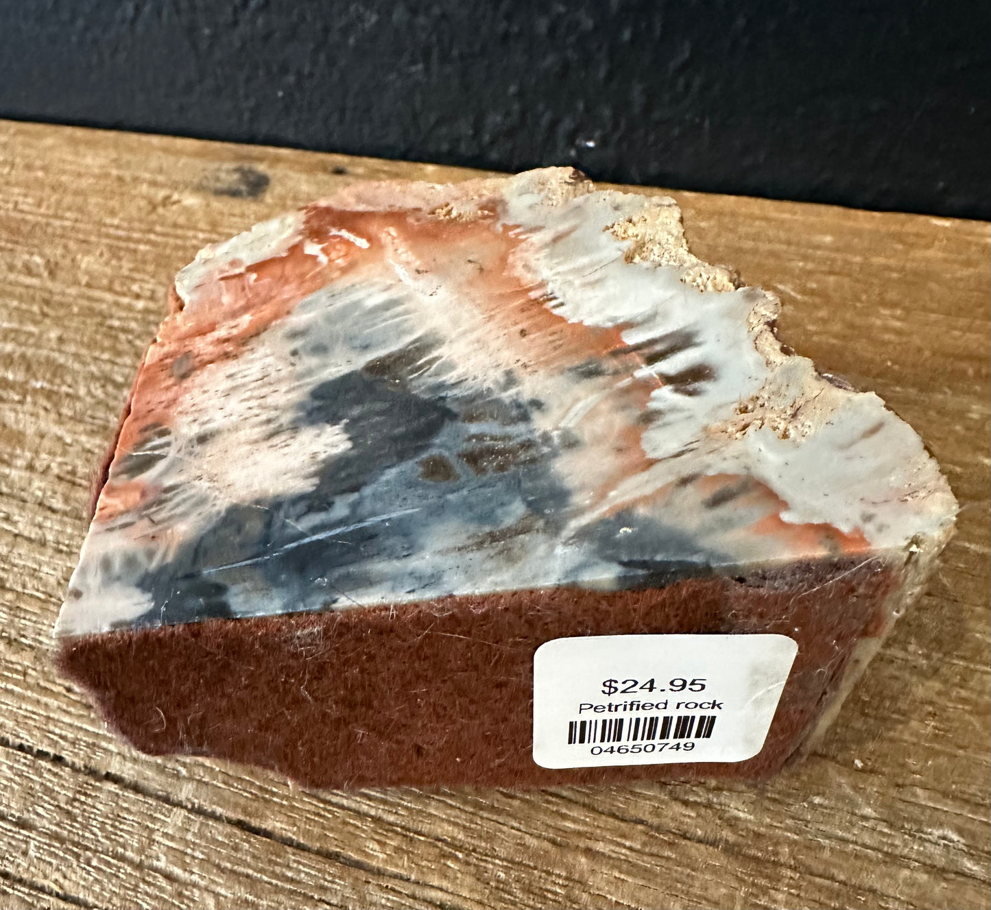 Petrified Rock From Arizona