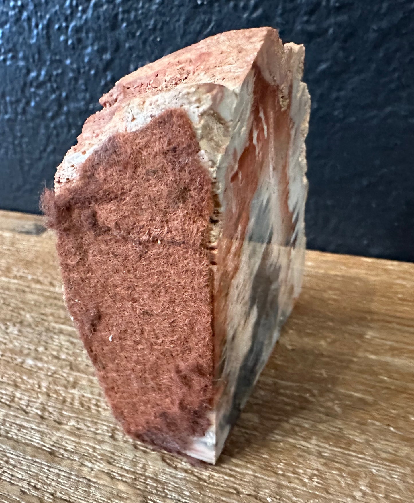 Petrified Rock From Arizona