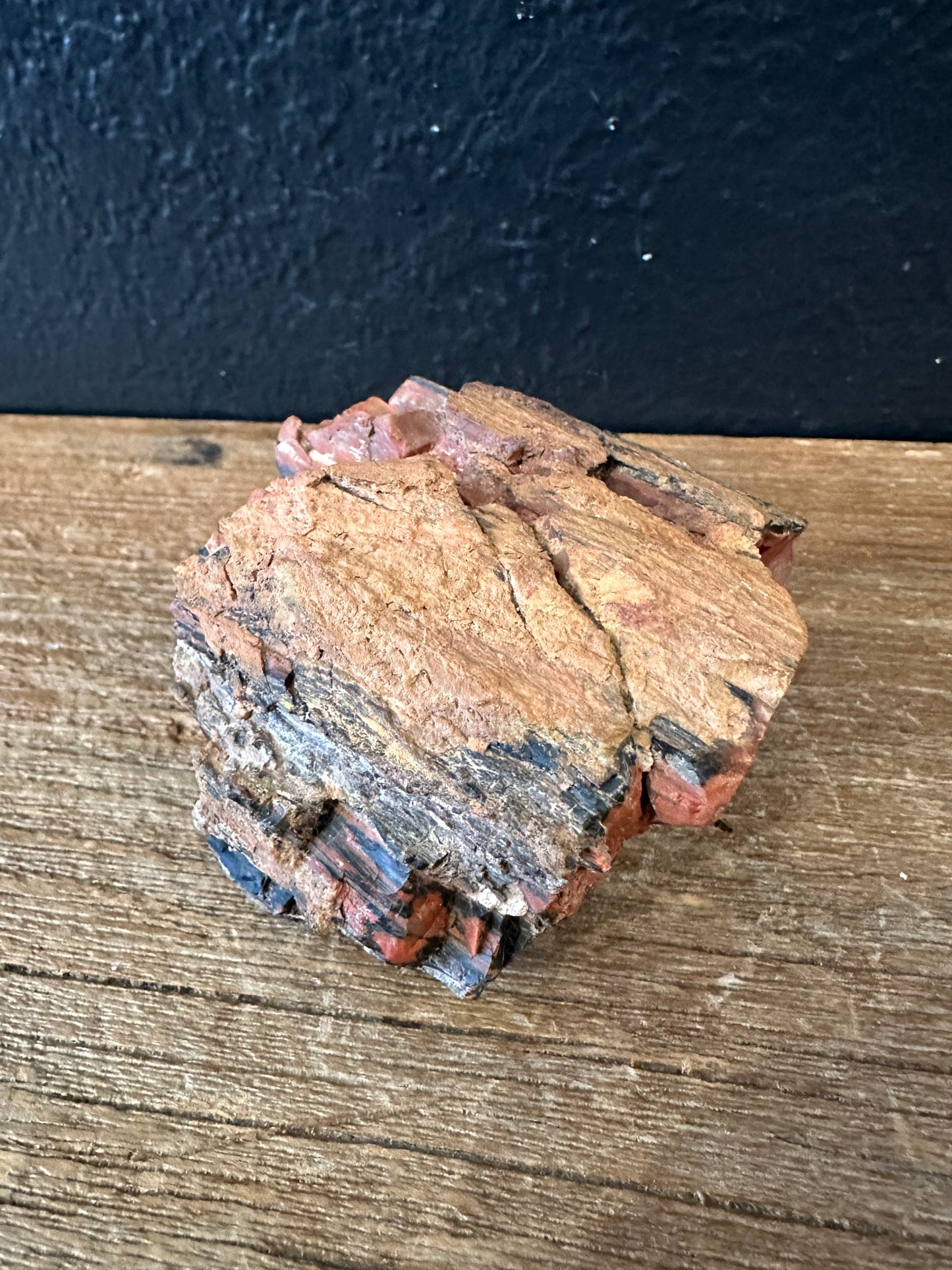 Petrified Wood