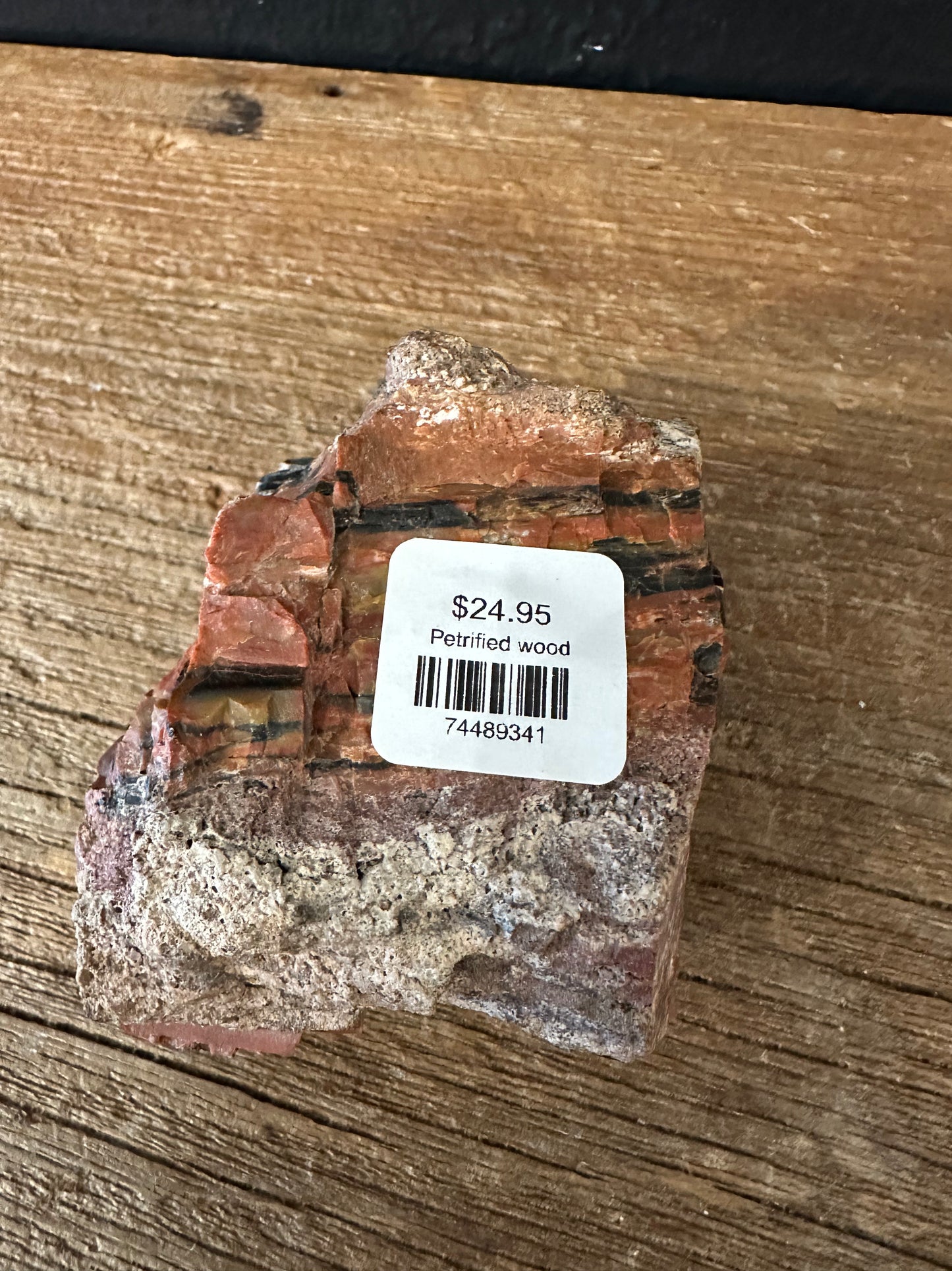 Petrified Wood