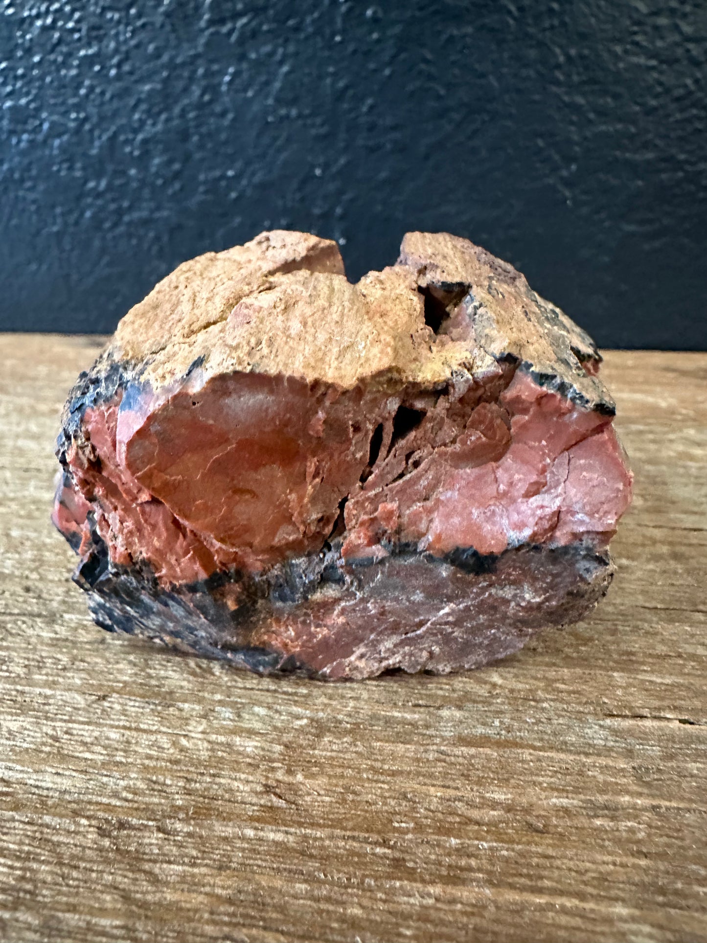 Petrified Wood