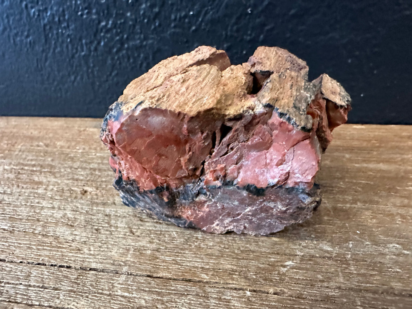 Petrified Wood
