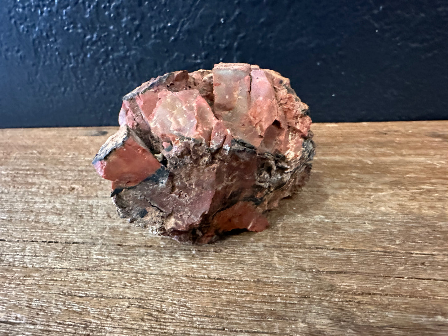 Petrified Wood