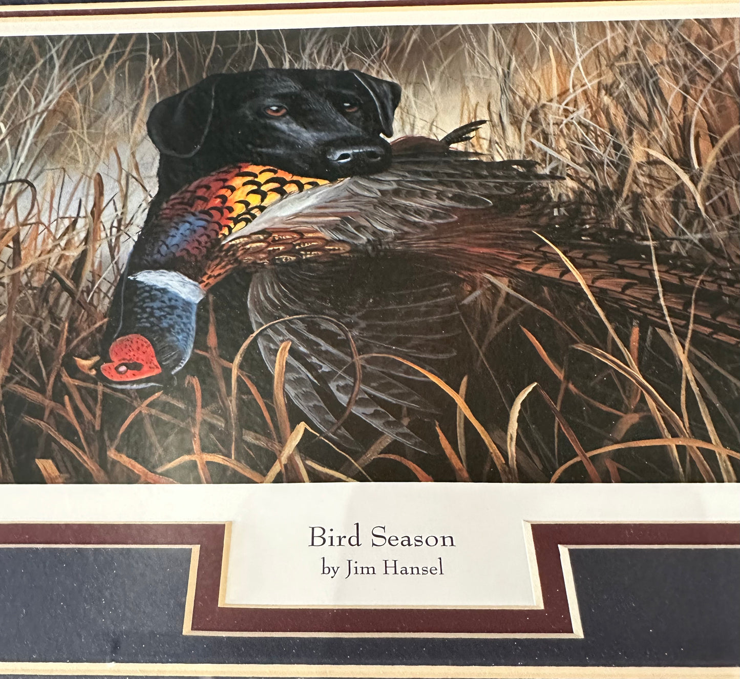 Bird Season by Jim Hansel