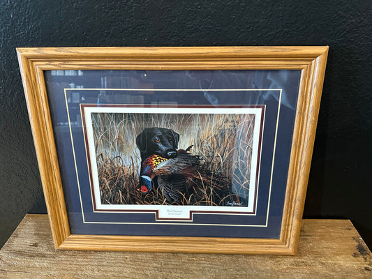Bird Season by Jim Hansel