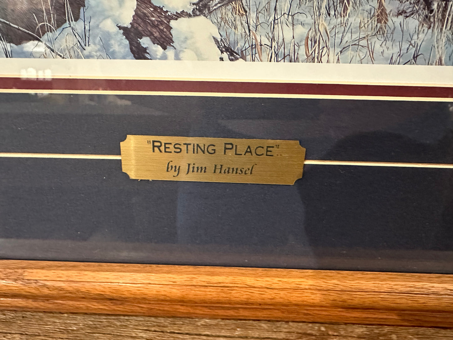 “Resting Place” Framed Print by Jim Hansel