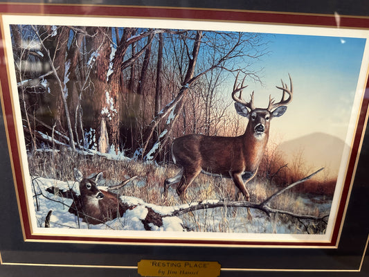 “Resting Place” Framed Print by Jim Hansel