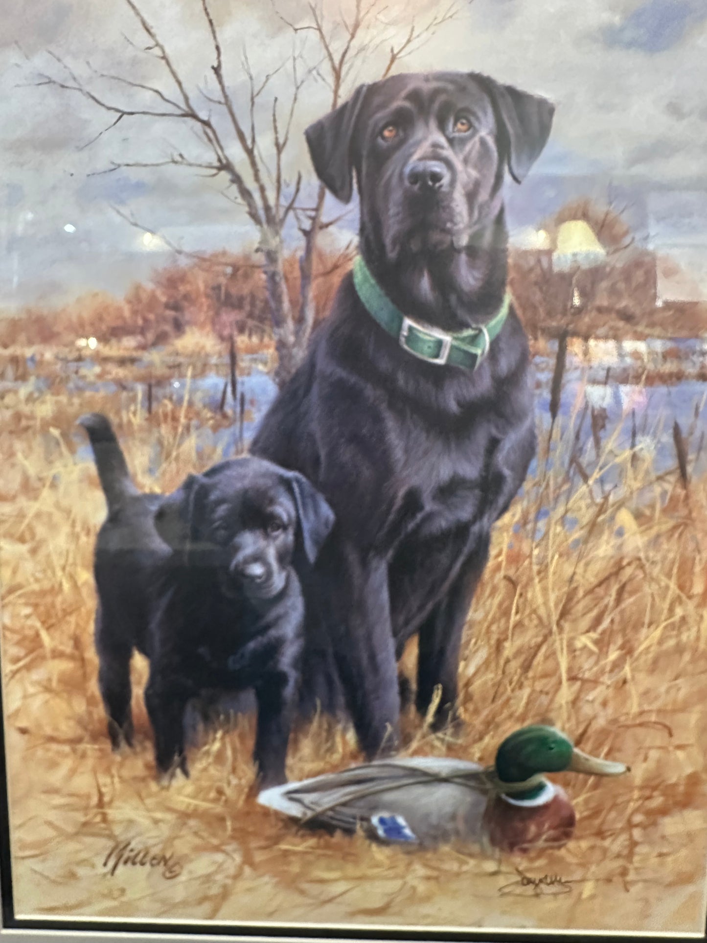 “Like Father Like Son” Framed Signed Print