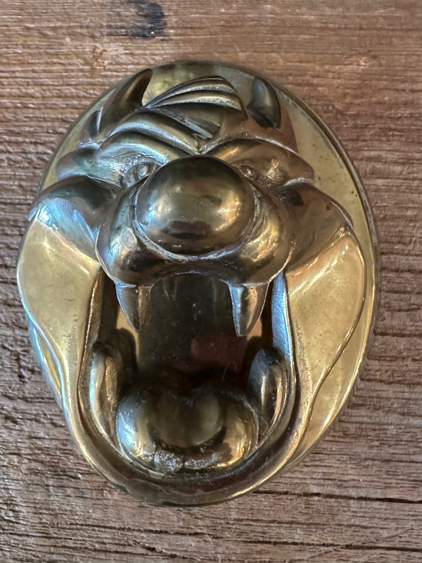 Solid Brass Door Knocker