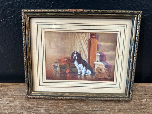 Framed Mini Dog Print
