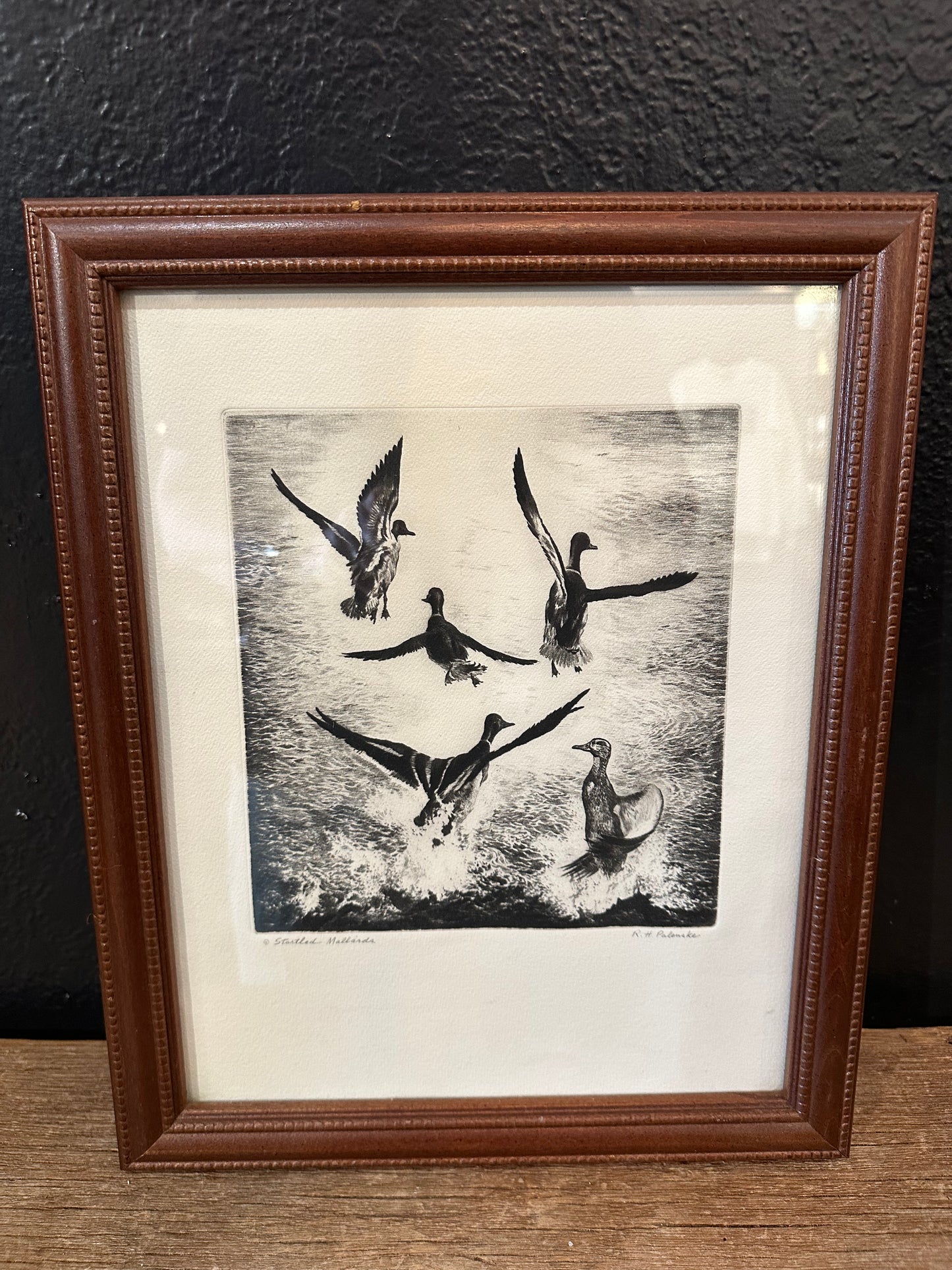 Etching Of Ducks Art