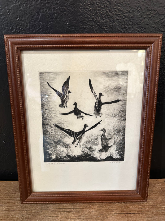 Etching Of Ducks Art