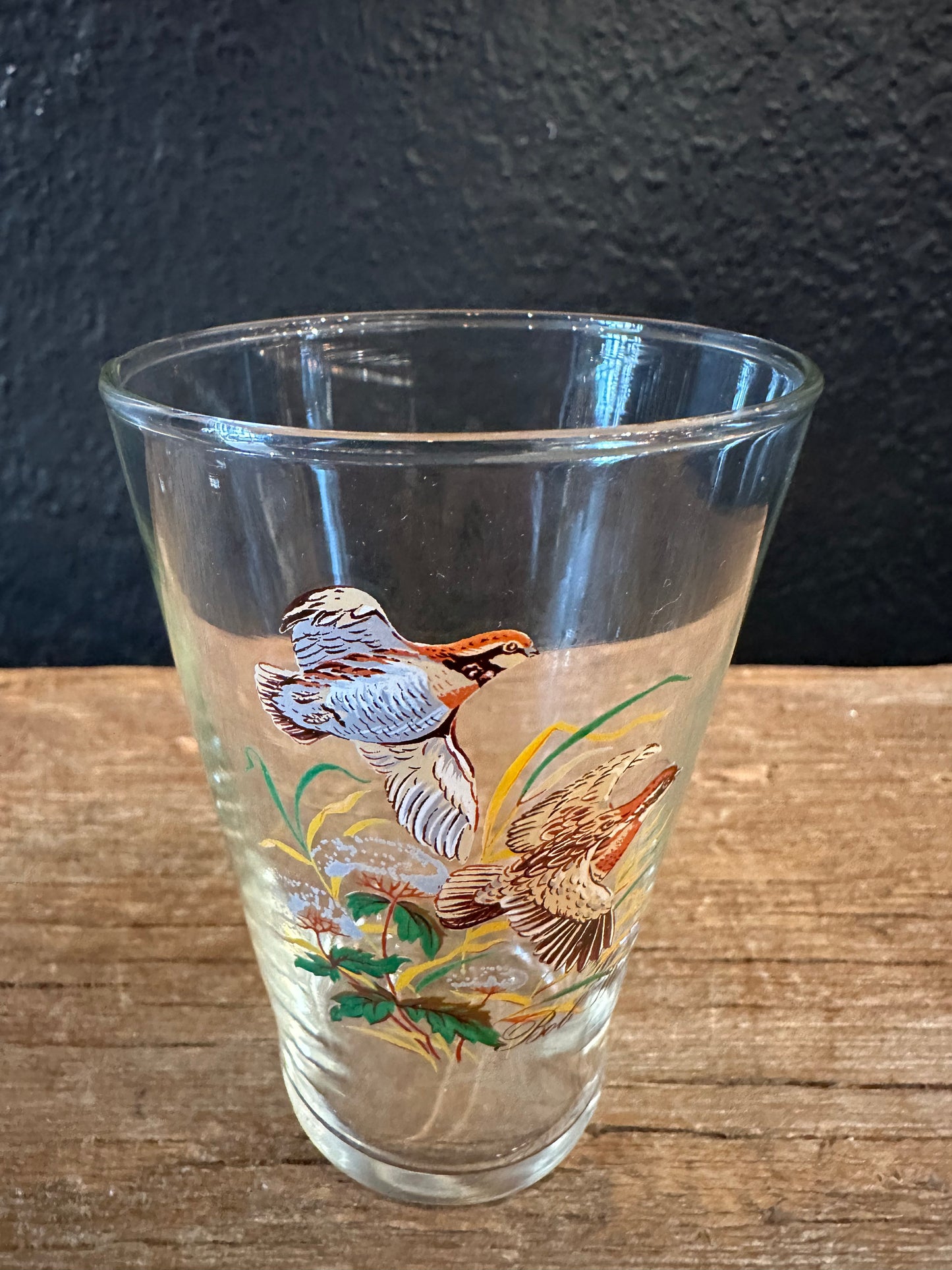 Vintage Waterfowl Glasses | Set Of 4