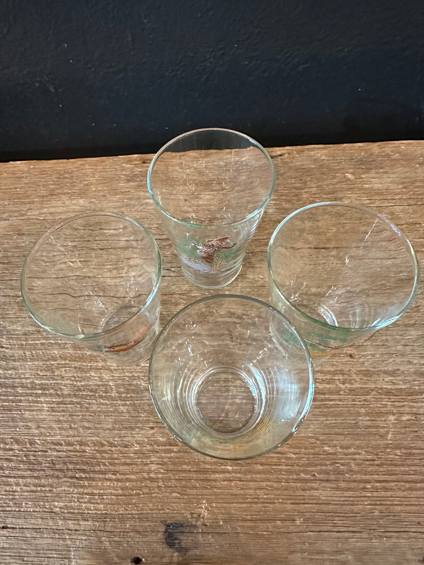 Vintage Waterfowl Glasses | Set Of 4