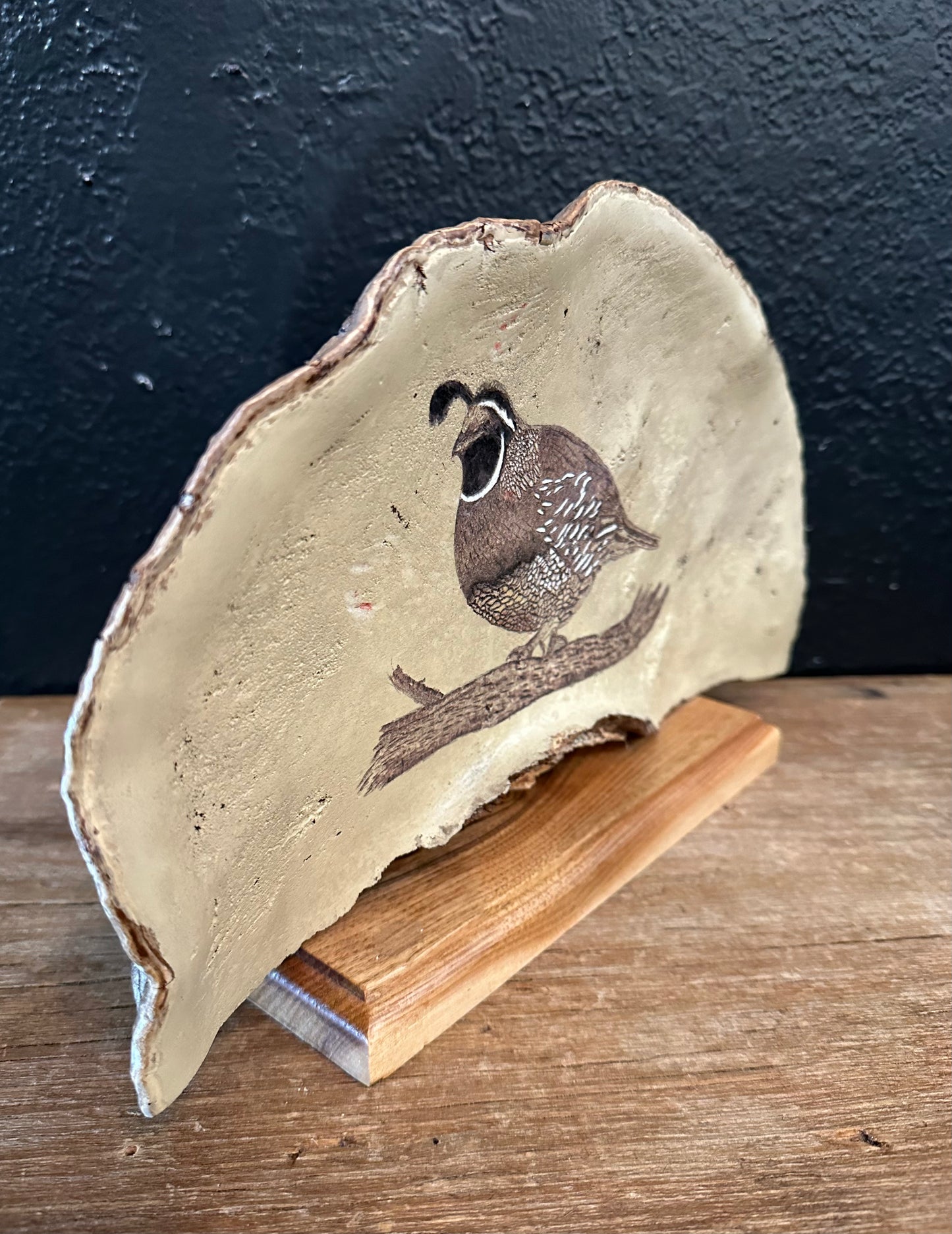 Hand Painted California Quail Artwork