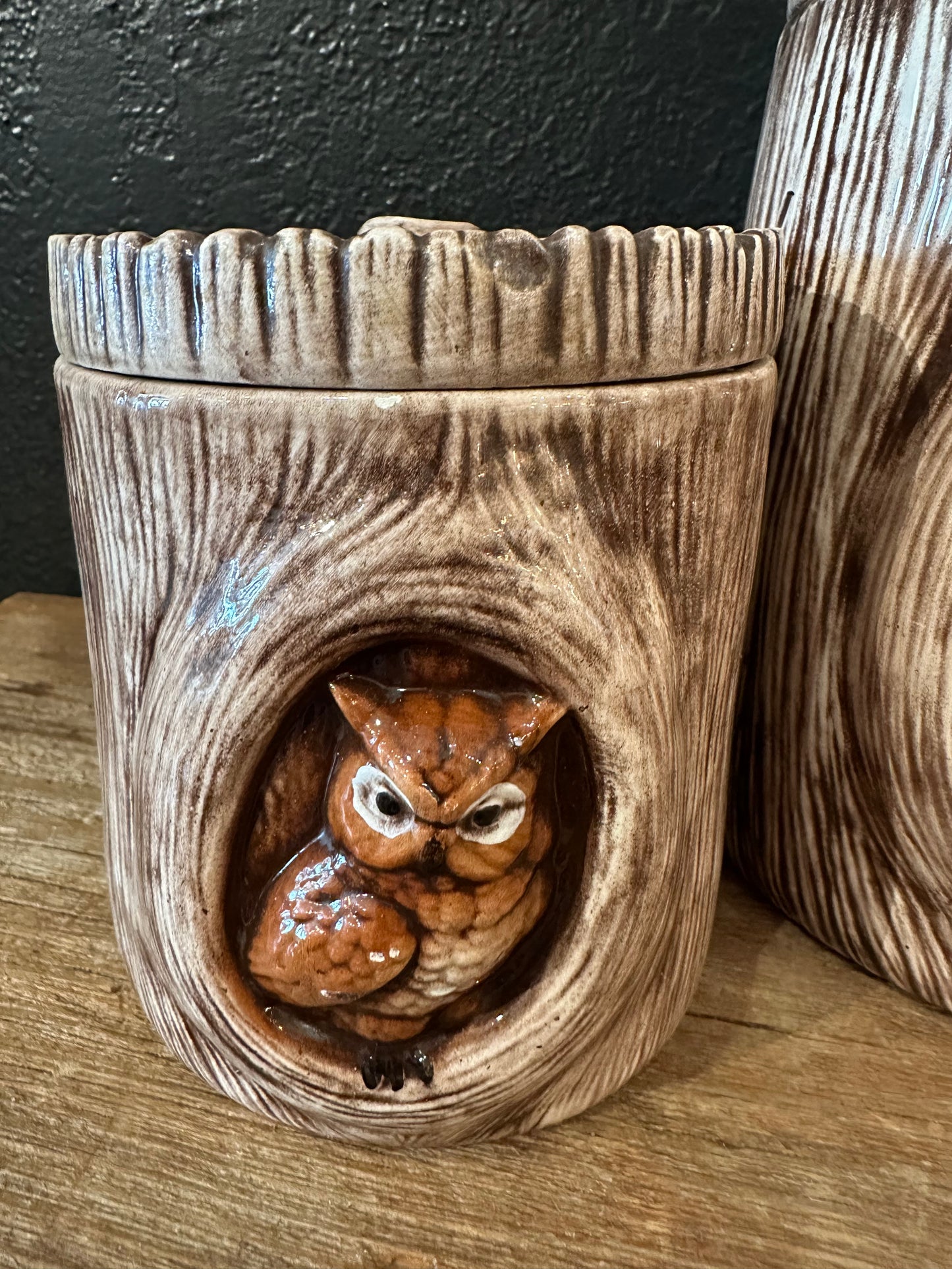Vintage Owl Canister