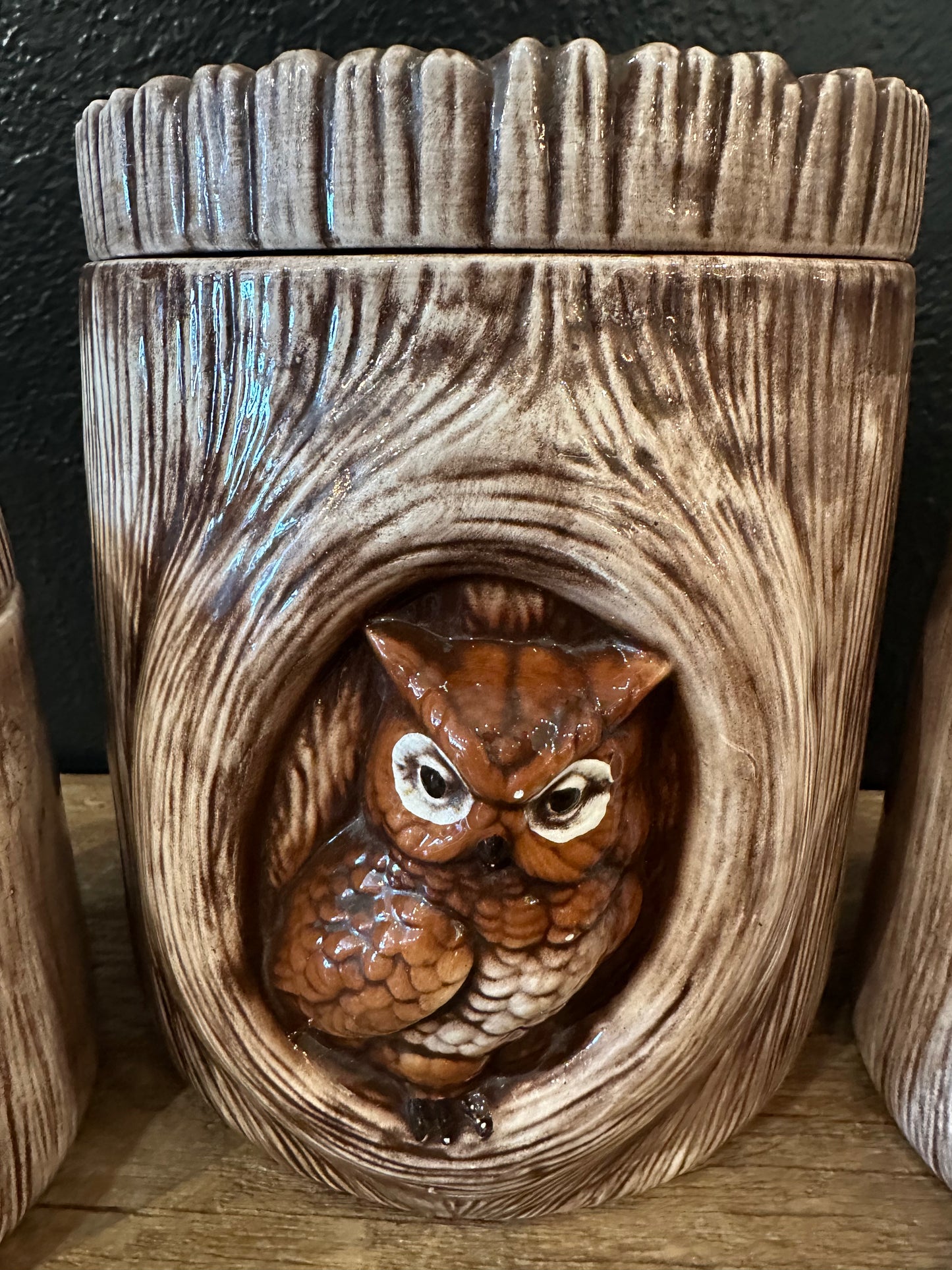 Vintage Owl Canister