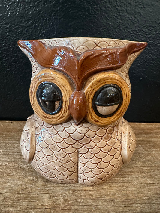 Ceramics Class Owl