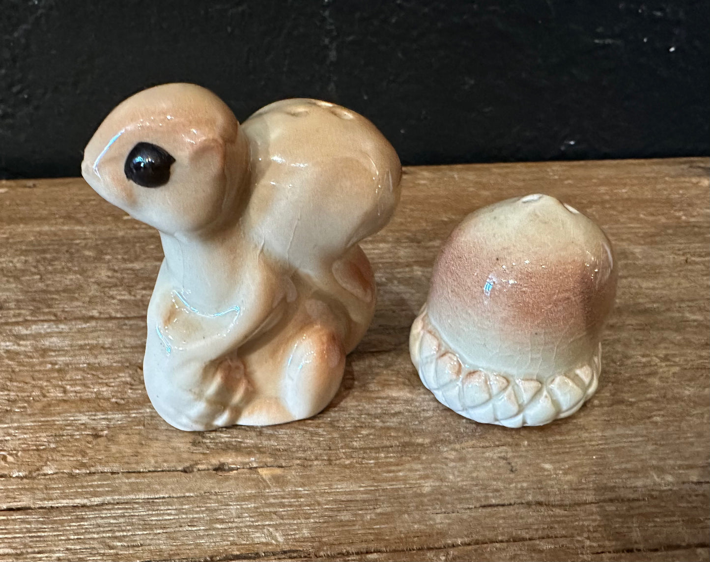 Vintage Squirrel and Pinecone Salt & Pepper Shakers