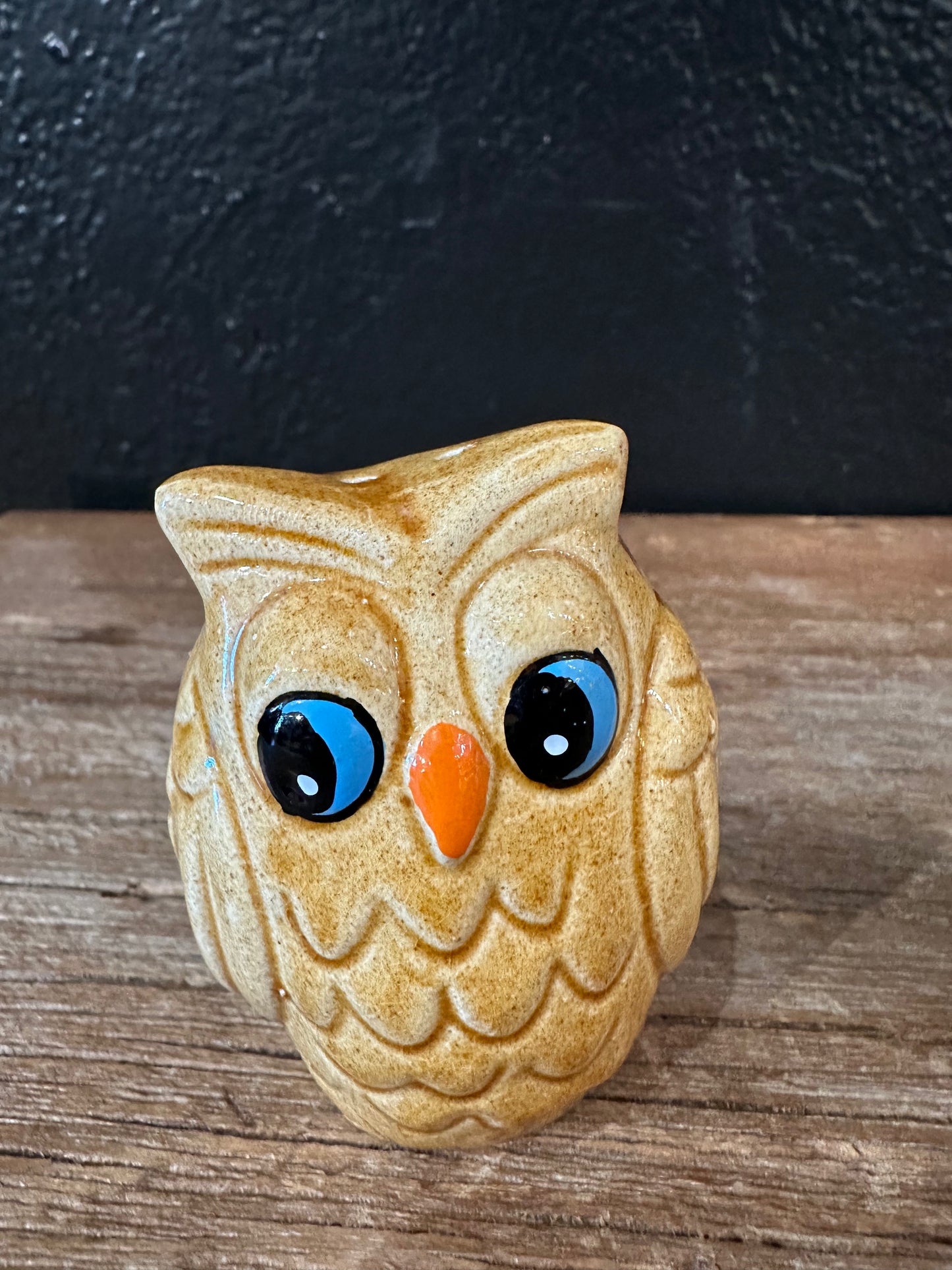 Vintage Blued Eyed Owl Salt & Pepper Set