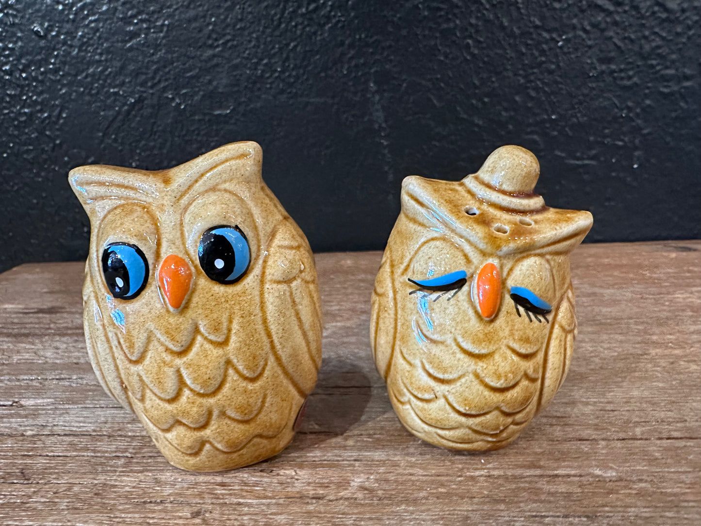 Vintage Blued Eyed Owl Salt & Pepper Set