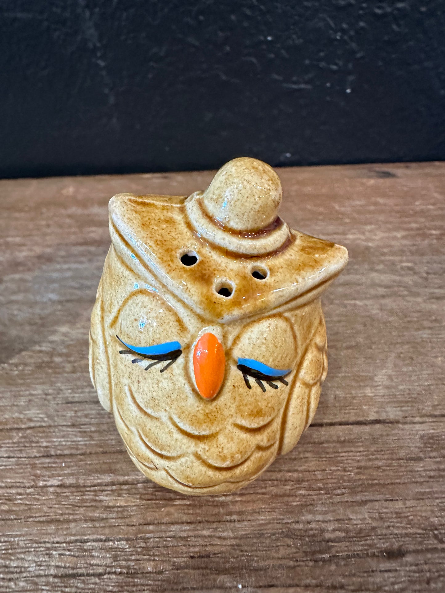 Vintage Blued Eyed Owl Salt & Pepper Set