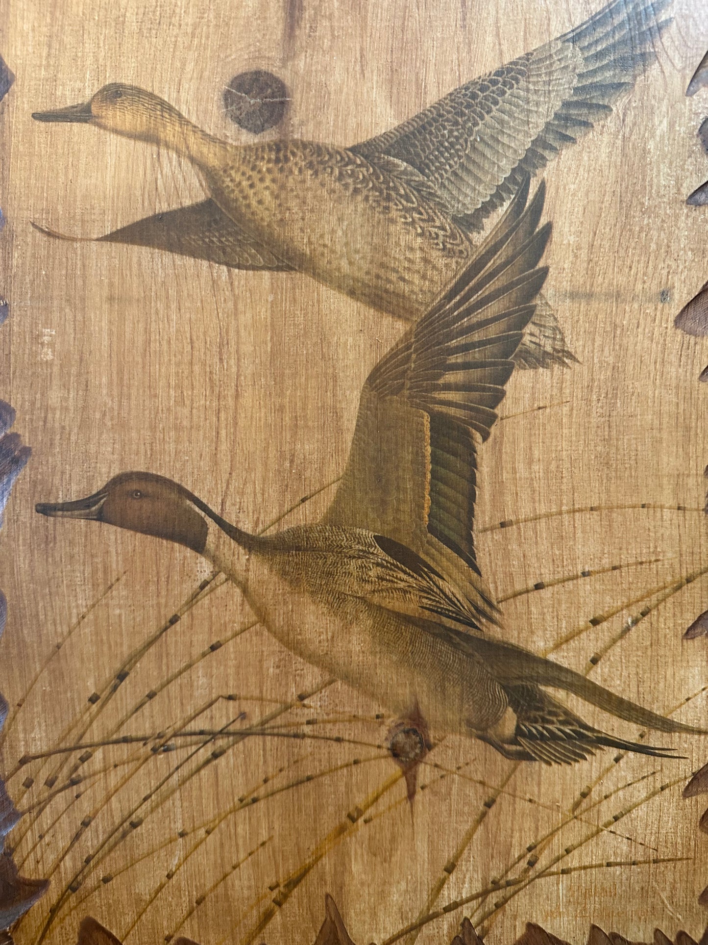 Rustic Wood Burned Duck Art