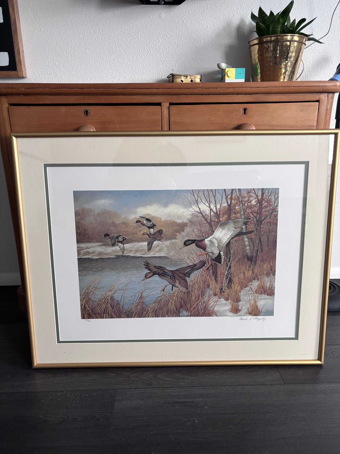 Charles E Murphy Framed Duck Print