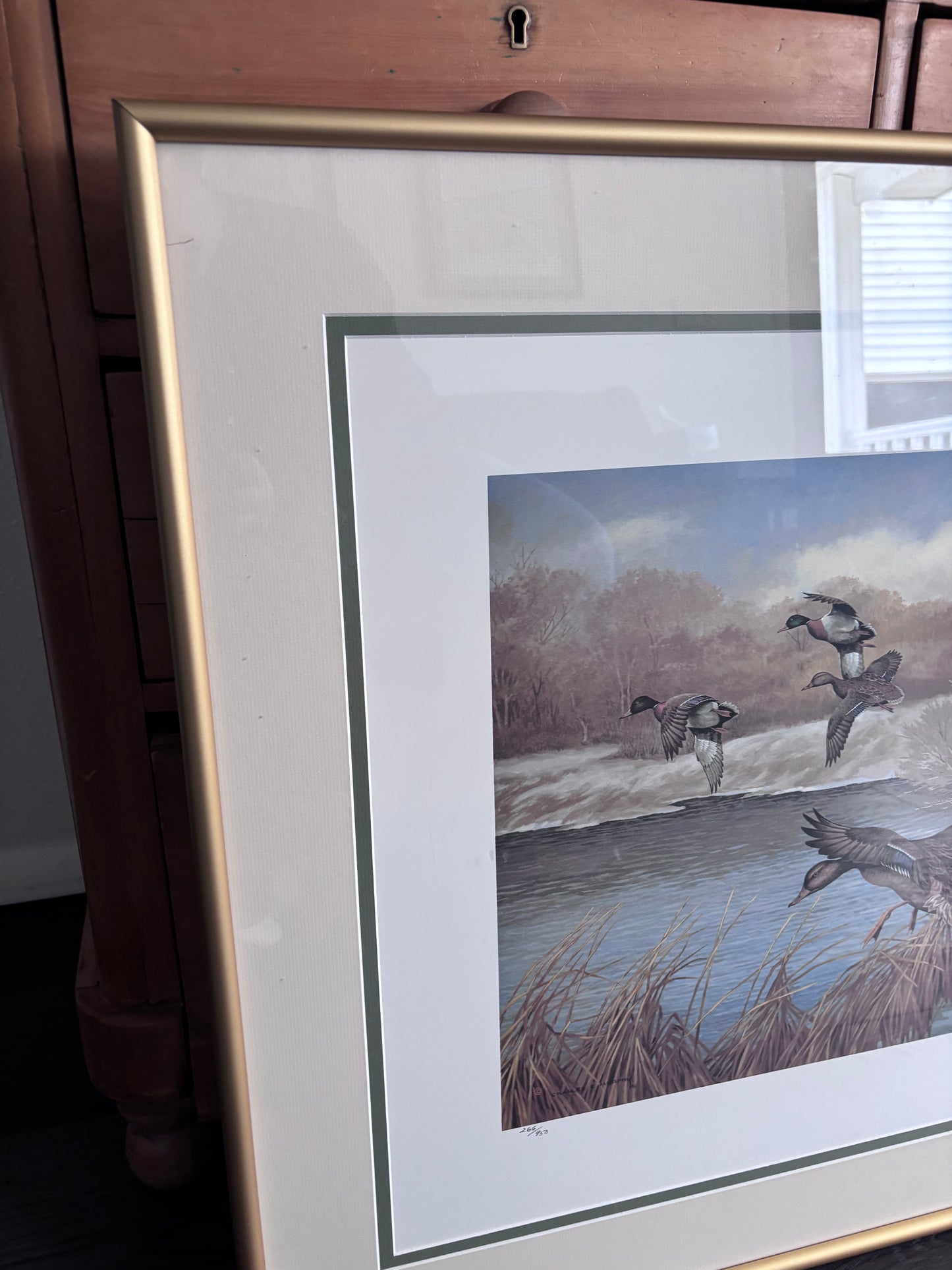 Charles E Murphy Framed Duck Print