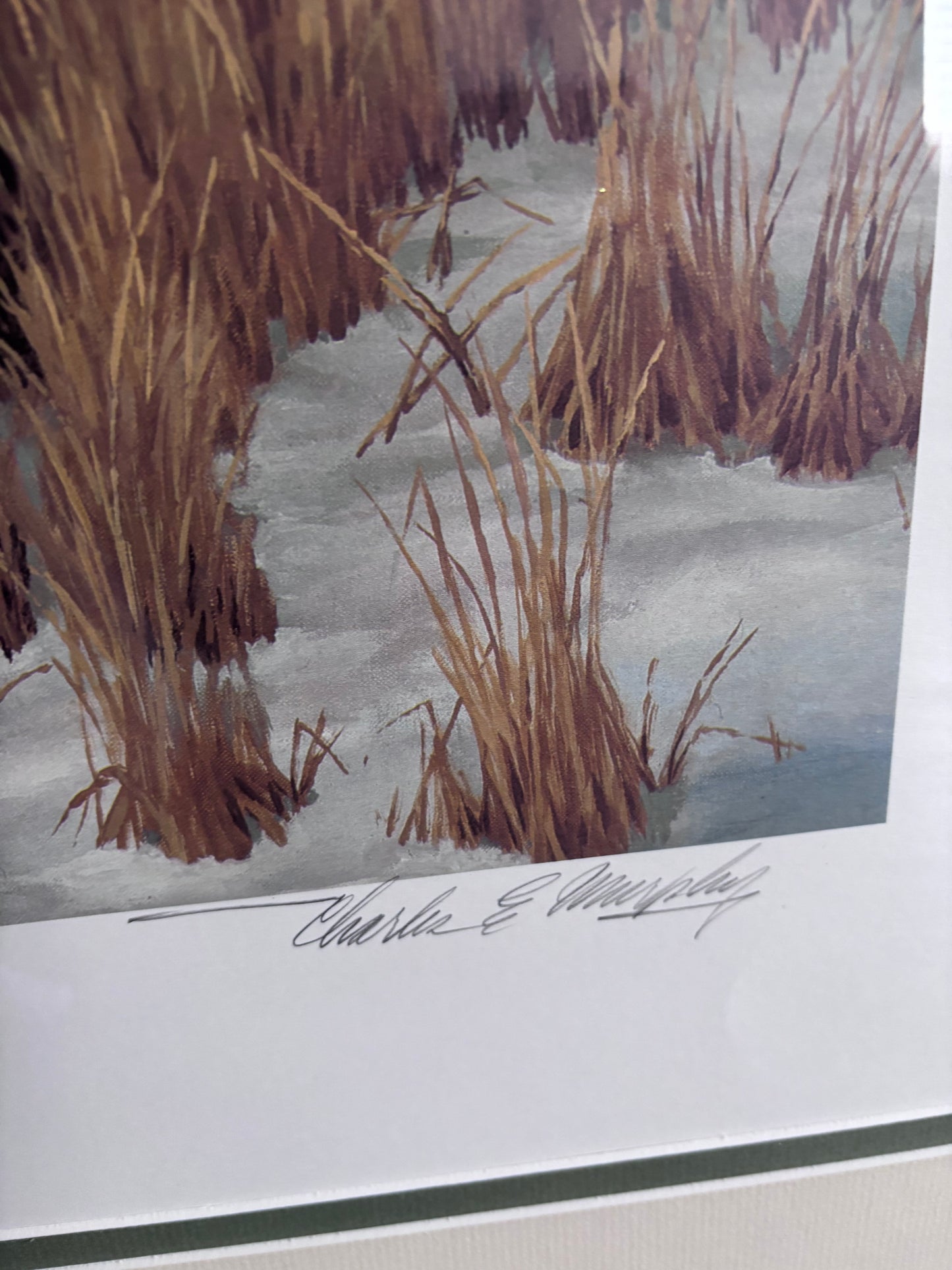 Charles E Murphy Framed Duck Print