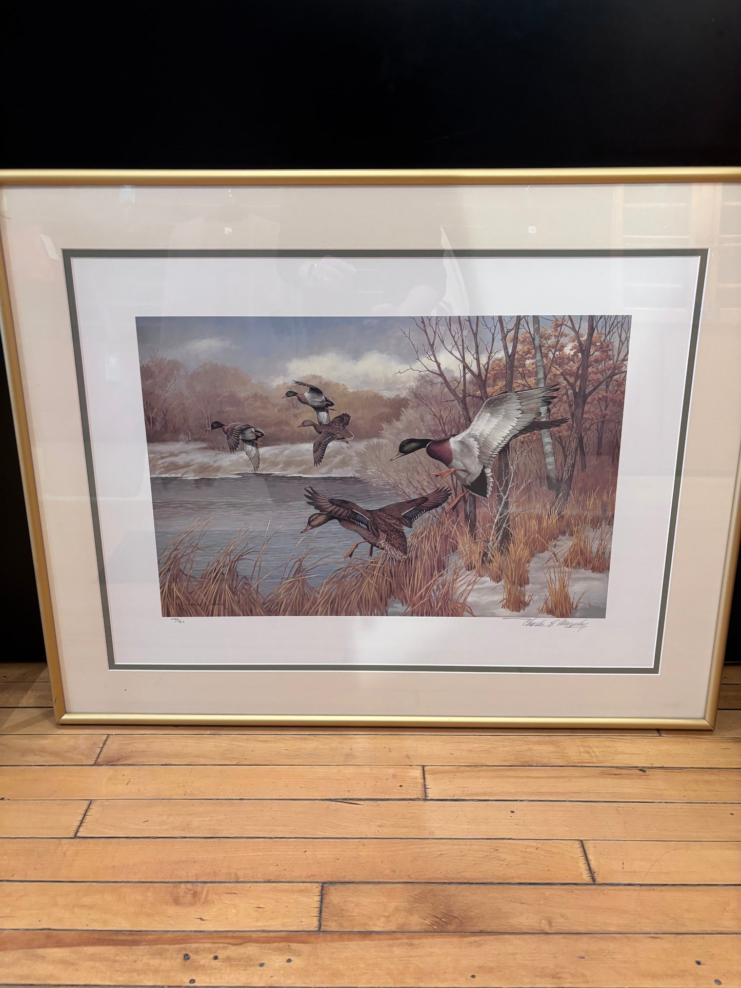 Charles E Murphy Framed Duck Print