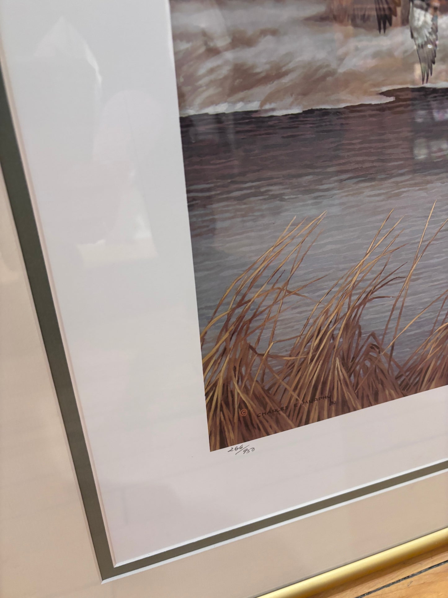 Charles E Murphy Framed Duck Print