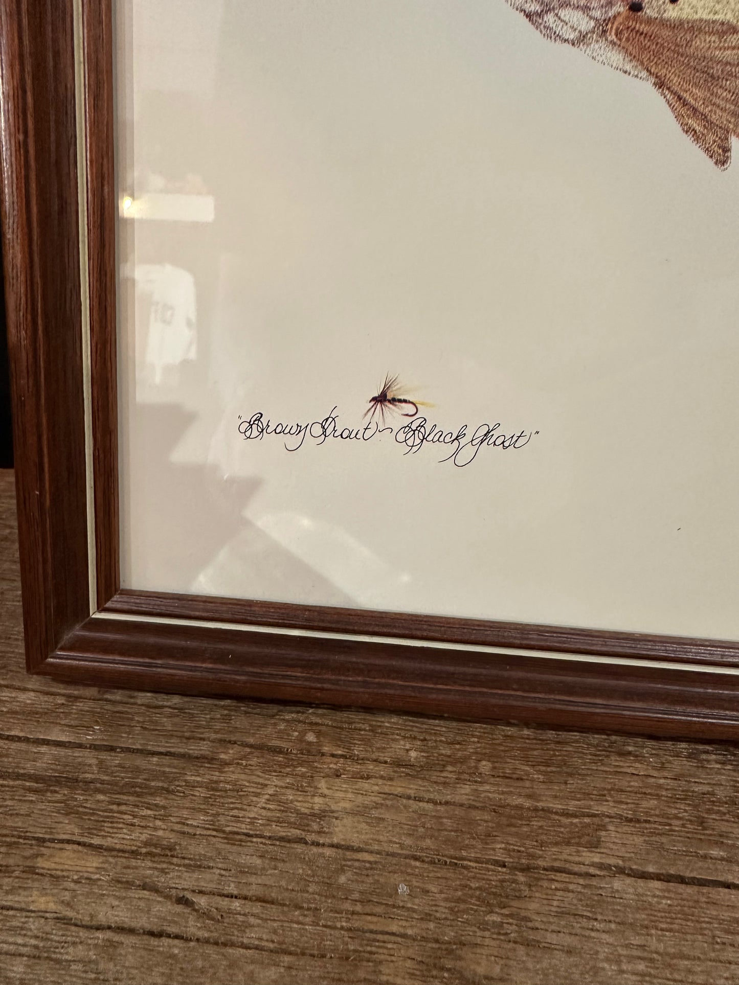 Framed Trout Print
