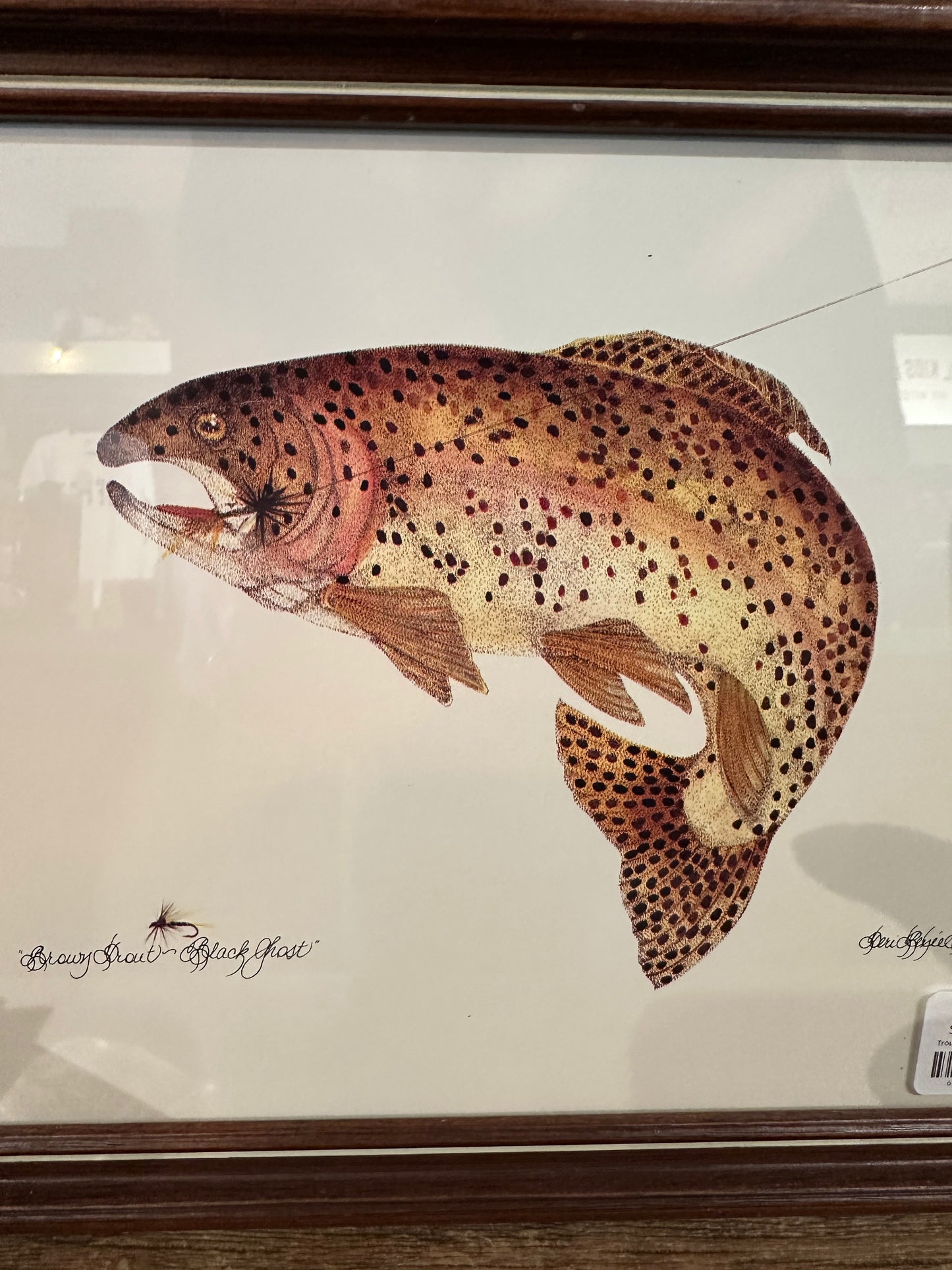 Framed Trout Print