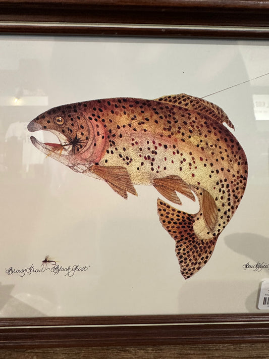 Framed Trout Print