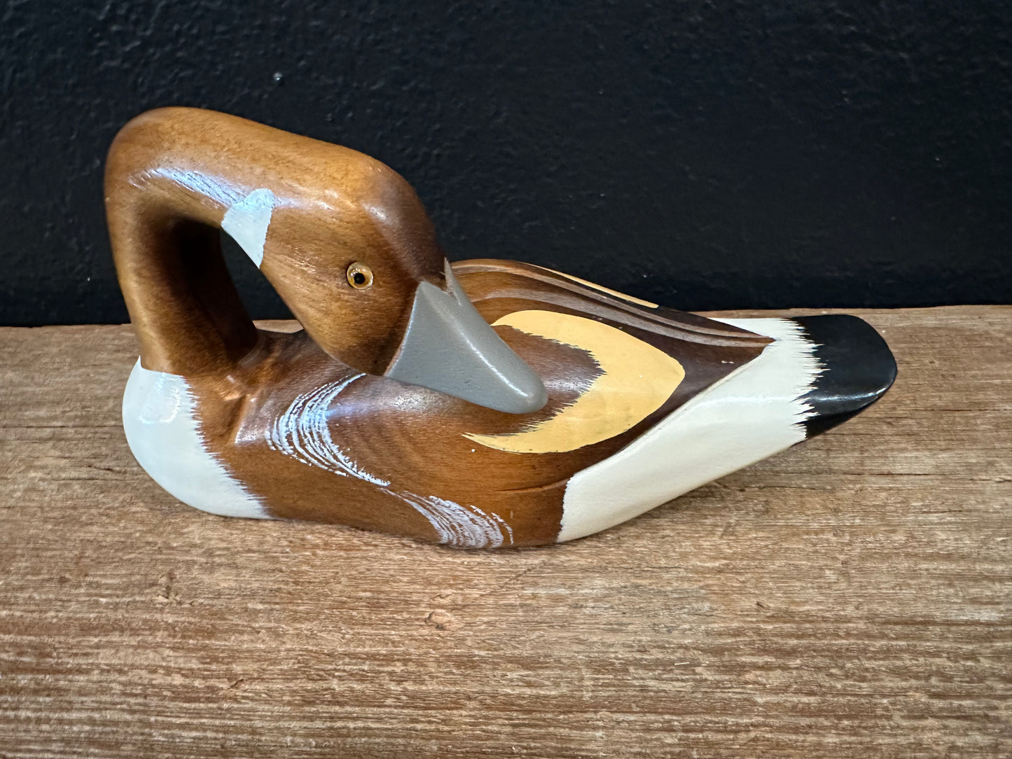 Painted Wood Duck