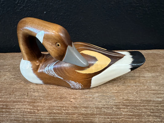 Painted Wood Duck