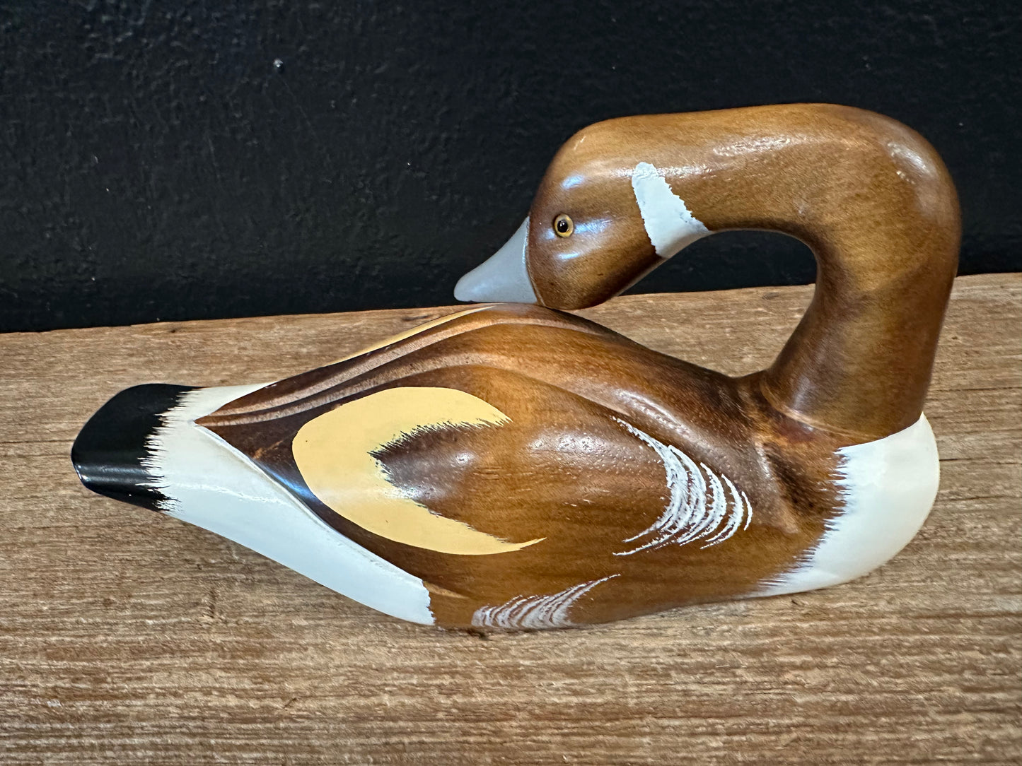 Painted Wood Duck