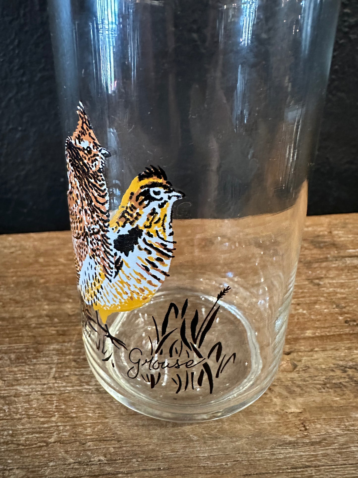 Vintage Waterfowl Themed Highball Glasses | Set Of 4