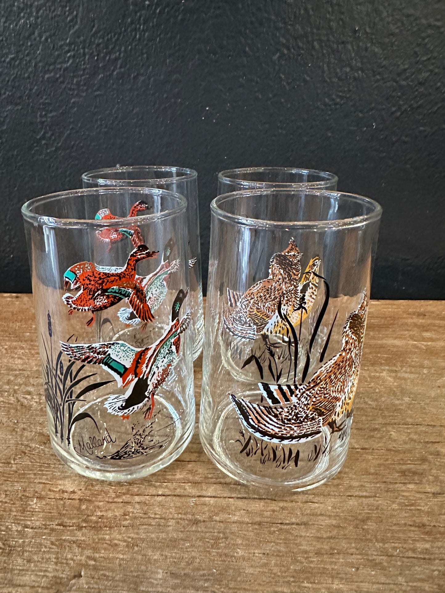 Vintage Waterfowl Themed Highball Glasses | Set Of 4