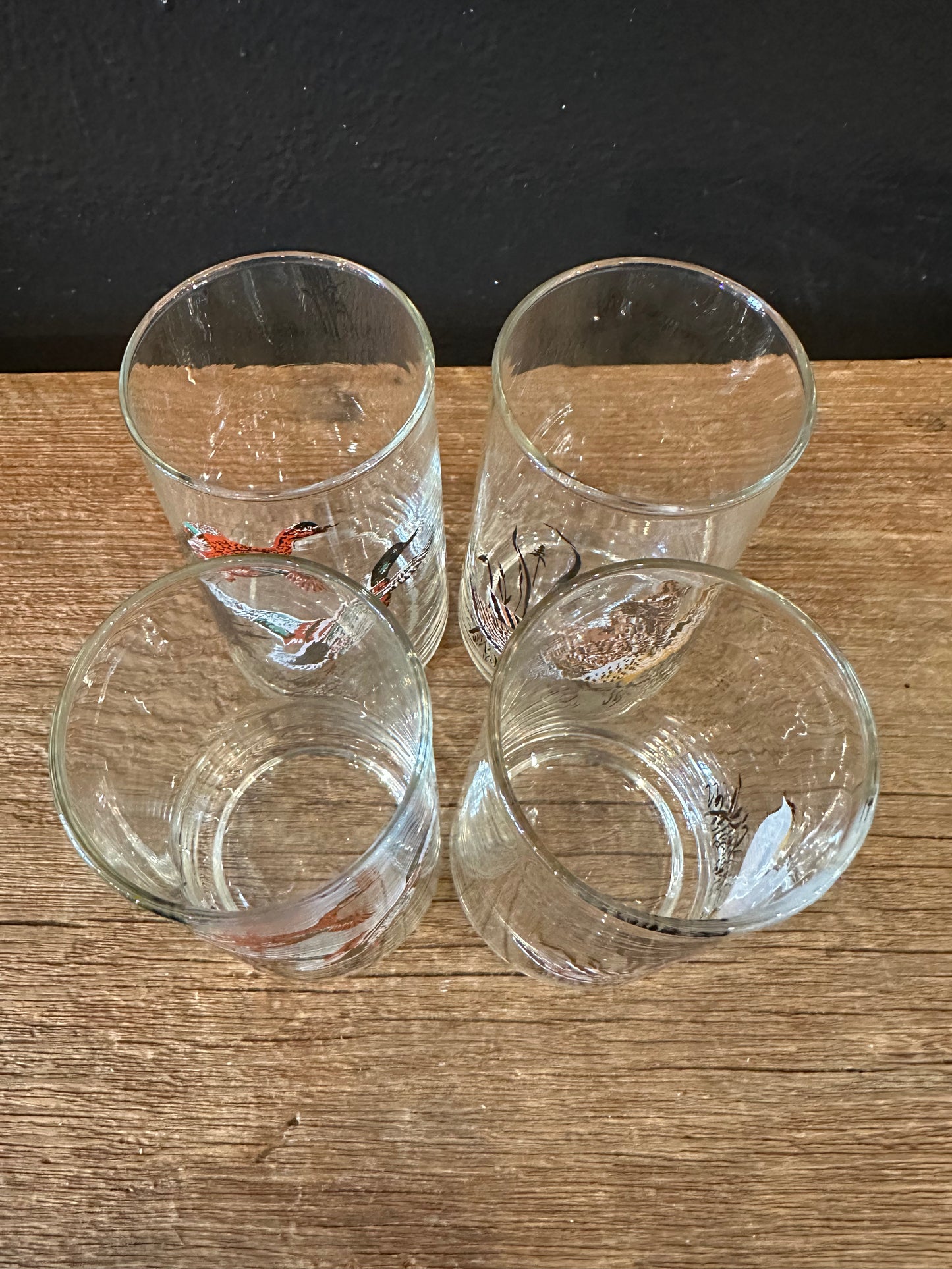 Vintage Waterfowl Themed Highball Glasses | Set Of 4