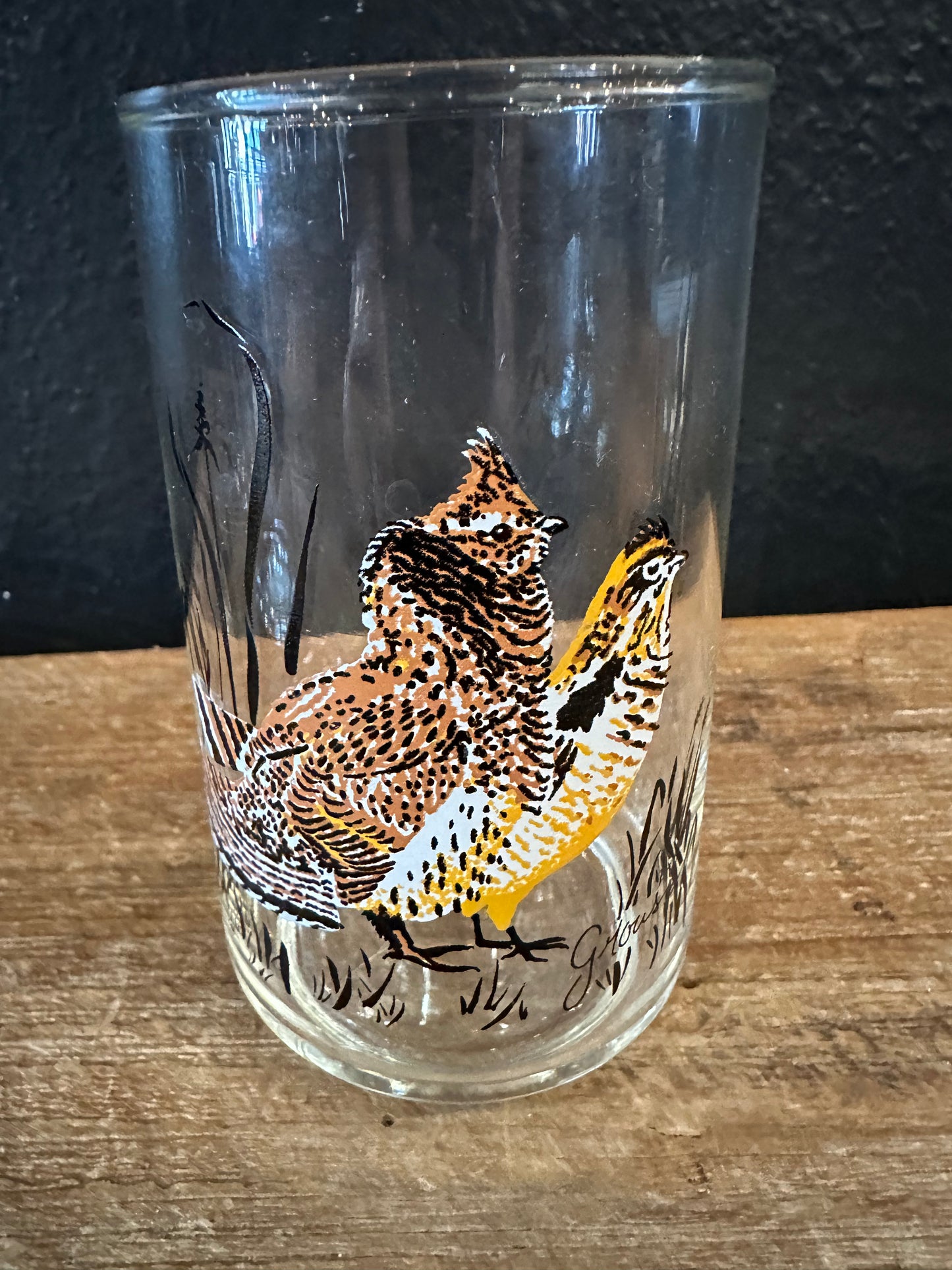 Vintage Waterfowl Themed Highball Glasses | Set Of 4