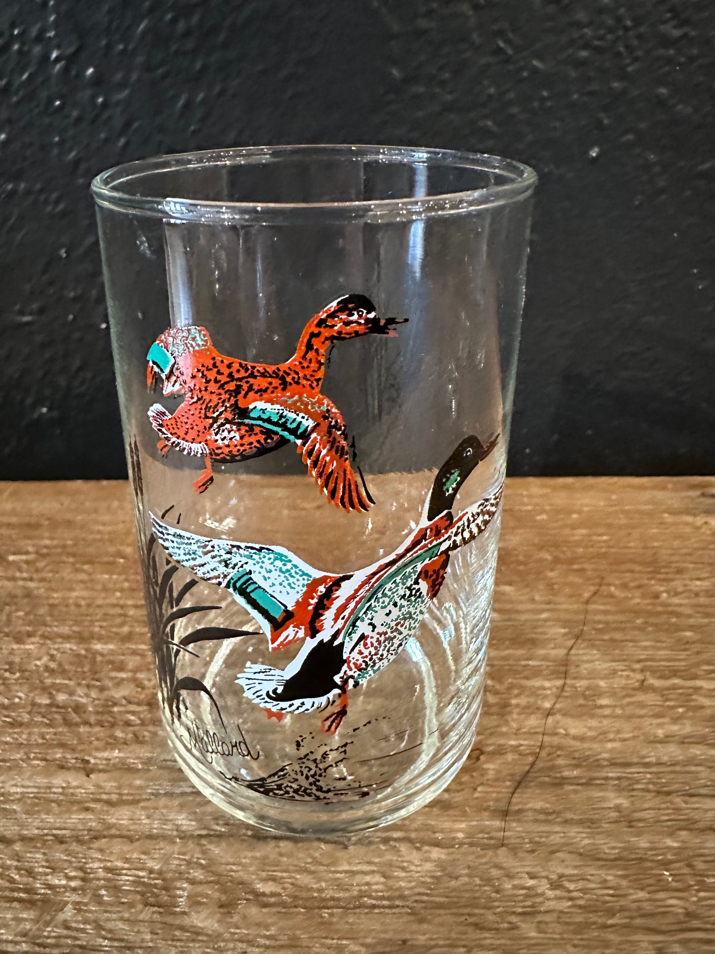 Vintage Waterfowl Themed Highball Glasses | Set Of 4