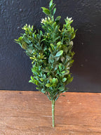 Boxwood Greenery