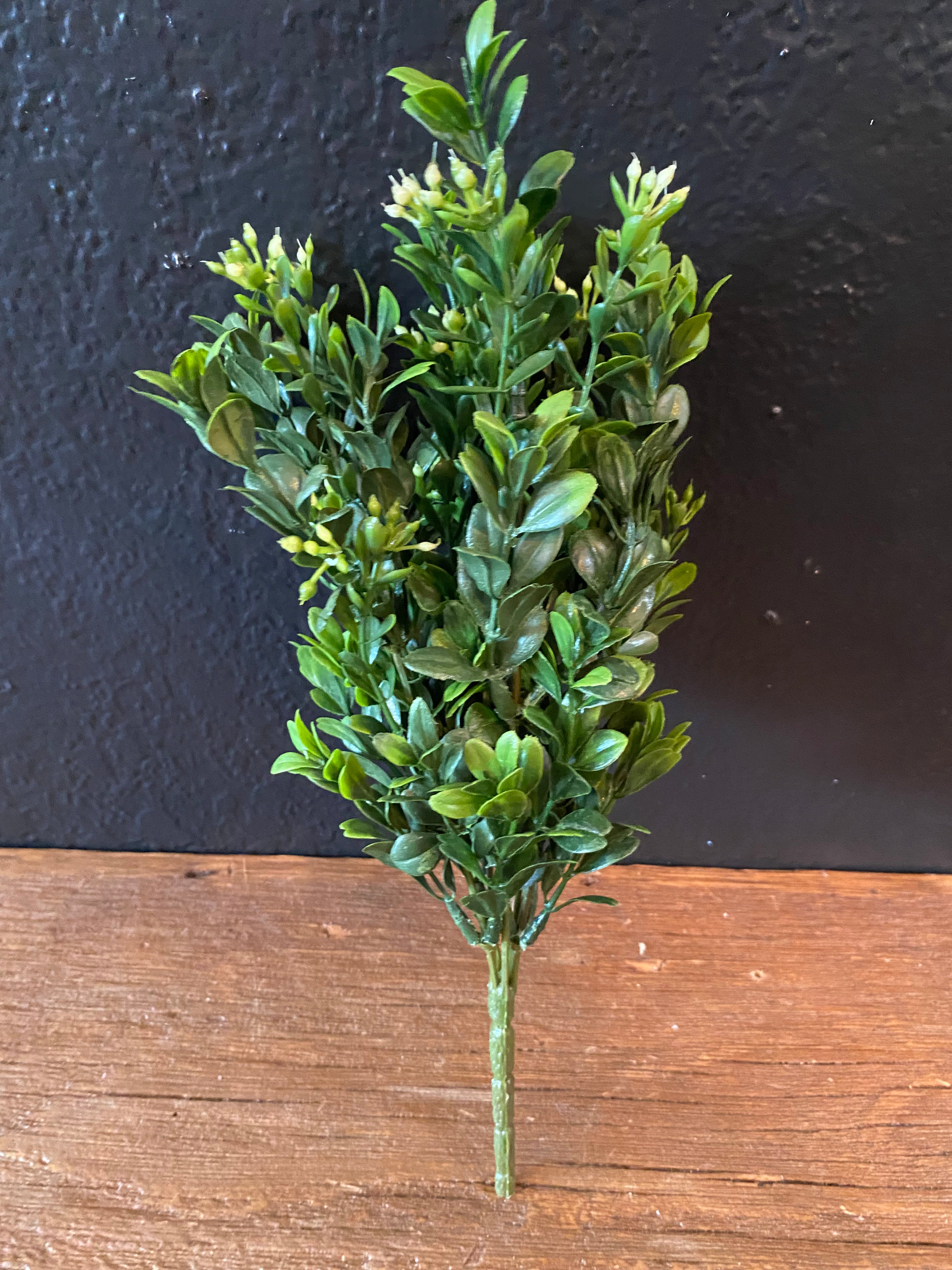 Boxwood Greenery