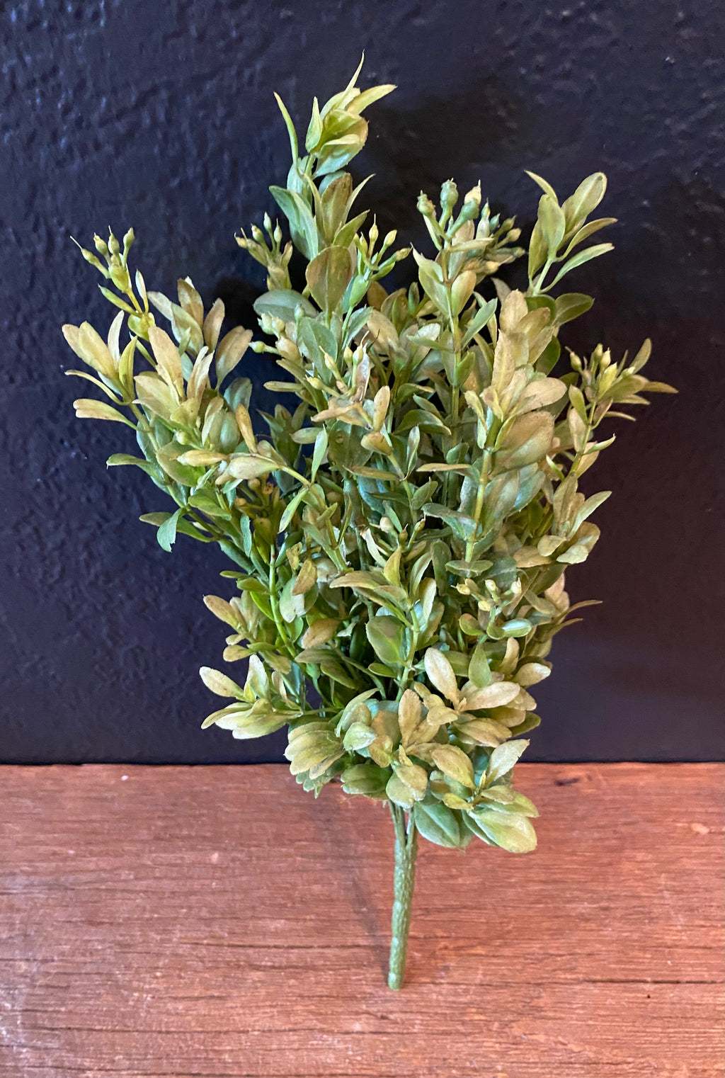 Boxwood Greenery