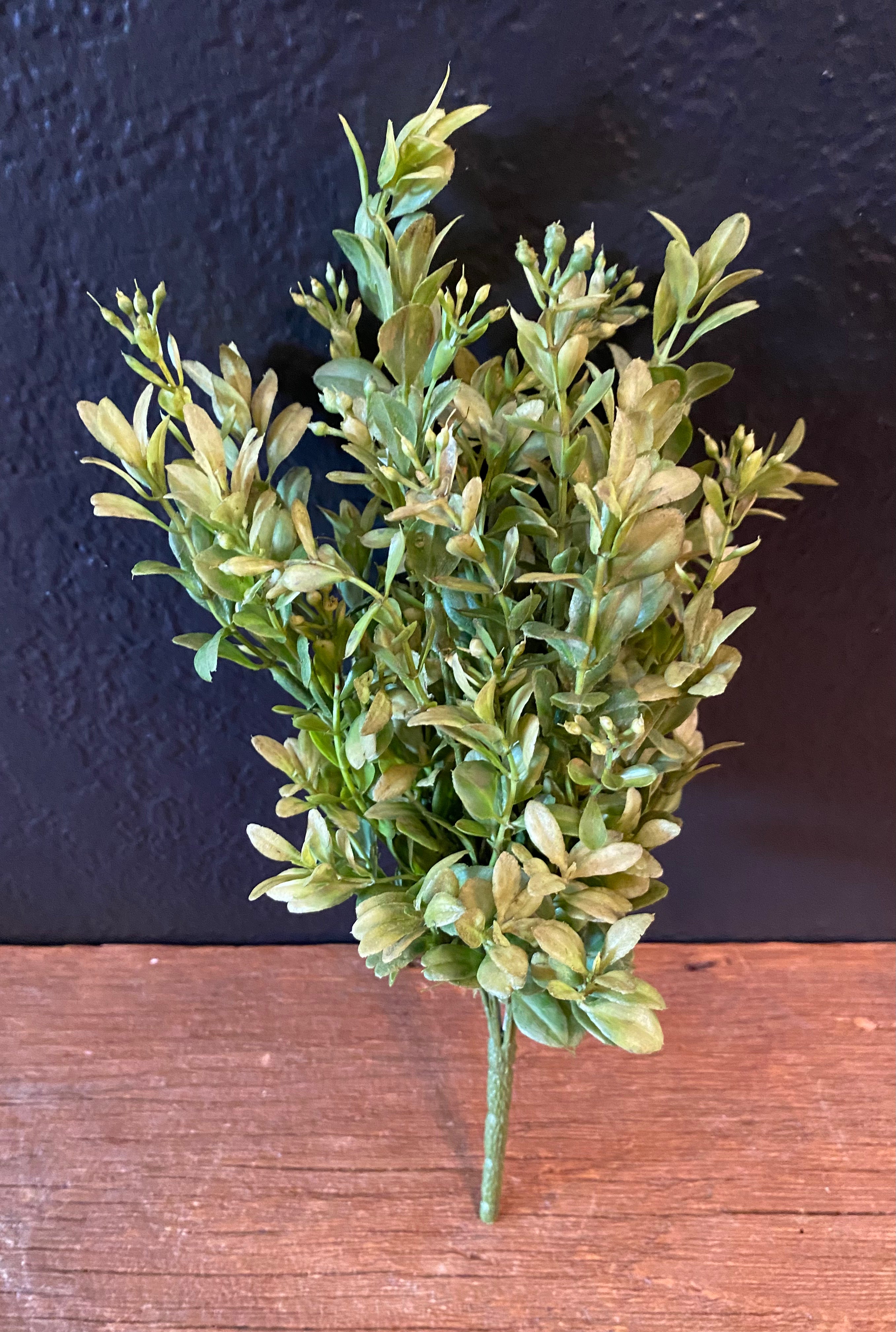 Boxwood Greenery