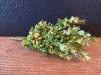Boxwood Greenery