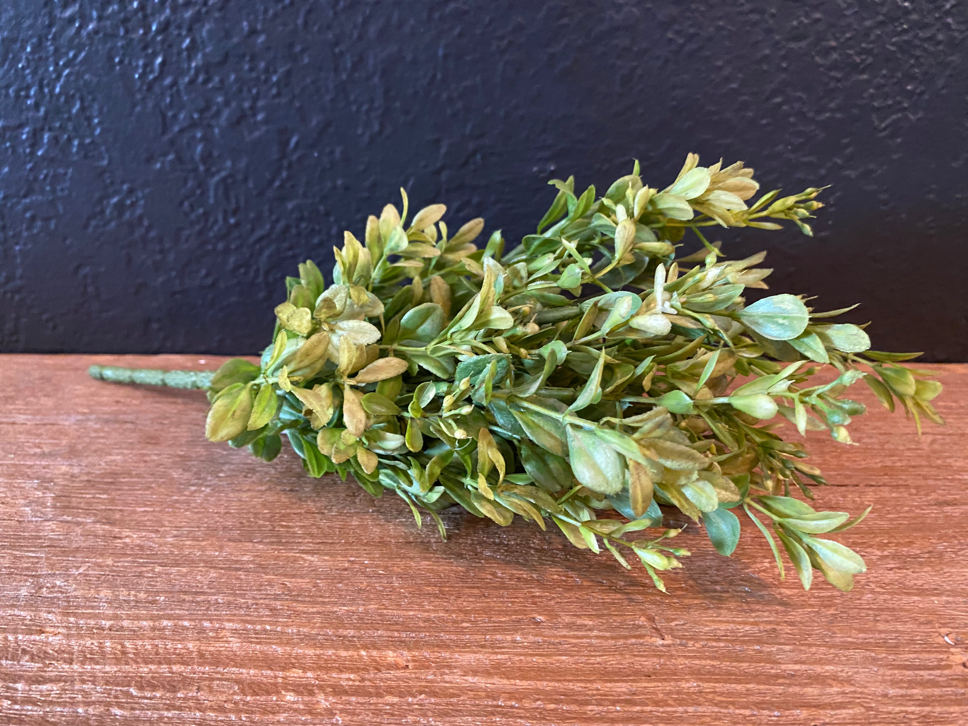 Boxwood Greenery